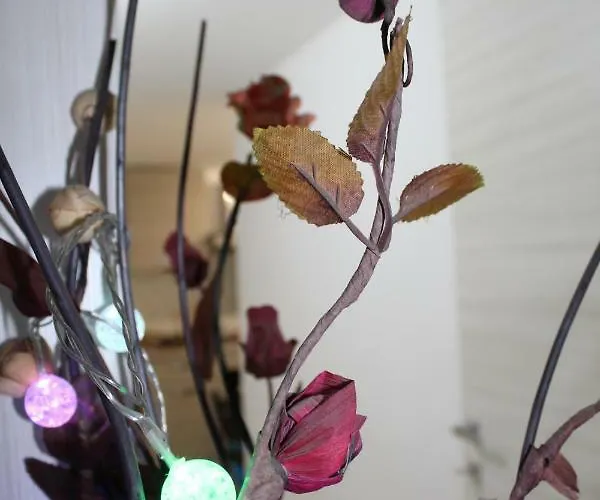 Gymnasium ベッド・アンド・ブレックファスト