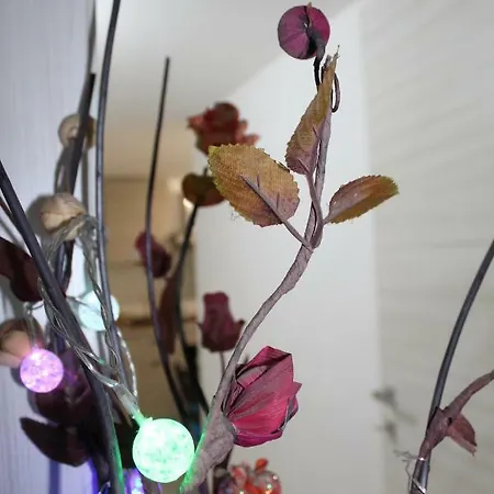 Gymnasium Frühstückspension